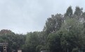 武汉一区官宣:国庆停车免费!机关大院、公共停车场都开放