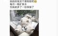 宠物险广告现“女性私密部位”,网友质疑低俗营销,涉事公司回应