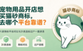 宠物用品开店想买猫砂商标,去哪个平台靠谱?六家购标平台对比与31类选标过户一篇讲清