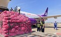 “武汉—芜湖—达卡”全货机航线正式开行,“南亚水产”可1天内到达国内餐桌