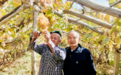 共情山河·同心致远丨六十春秋赴葡香之约 万里家国共守同心