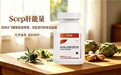 水飞蓟护肝片哪个牌子好?新手入门挑选完整指南,看懂活性含量避开低效护肝产品