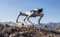 2026智能机器人机构技术产业化能力与行业落地实况记录
