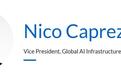 黄仁勋女婿Nico Caprez火速晋升英伟达全球AI基础设施增长副总裁,曾是职业滑雪运动员
