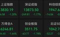 4分钟涨停,七连板,A股人气第一
