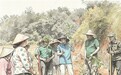 咖啡学校开到了田间地头(乡里乡亲那些事)