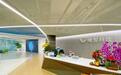 观察|曦智科技上市,“AI硅光芯片第一股”为何选择上海?