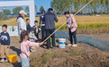 稻田里钓出好“丰”景