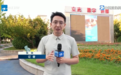 中国蓝观察丨冠军何以“甬”现