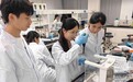 澳大健康科學夏令營吸引澳門中學生探索生命科學