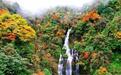 福利来了!10月8日至11月30日瓦屋山免门票,已购票游客可原渠道退票退款