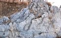 超2.4亿年的生命印记 安徽发现早三叠世巨鲎遗迹