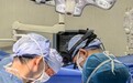 兩院心胸外科醫療協作精準高效 成功根治巨大胸腺鱗癌
