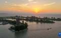 江苏泗洪:洪泽湖湿地生态美