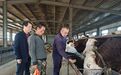 党旗在基层一线高高飘扬丨王保国:扎根黑土兴乡村 用心为民办实事