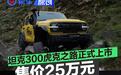 坦克300虎克之路正式上市 售价25万元