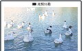 如何给SpaceX估值?发射越多越贵