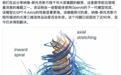 OpenAI宣布攻克千禧年难题,清华姚班传奇陈立杰:不可思议的时代
