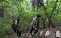 麦积山石窟:科技护航 光彩永续(3)