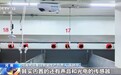活力中国调研行丨猪猪宿舍有了“智慧宿管” 解锁中原畜牧新范式