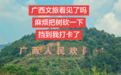 广西日报短评丨广西文旅宠人是认真的