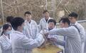 深读丨“超级蛋鸭”诞生记