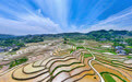 梯田之美:流淌在大地上的农耕诗篇