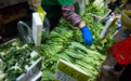 香港如何确保“白菜安全”?