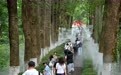 湖北襄阳:古城焕彩承文脉 文旅融合引客来(14)#