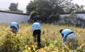 浙江湖州:创新社区矫正模式 推进劳动教育品牌建设(1)