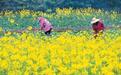 2026年中央一号文件发布—— 推动乡村全面振兴取得新进展(锐财经)
