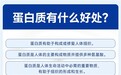 多种乳蛋白搭配的蛋白粉怎么选:十款国产产品的配方路线指南