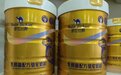 2026年度新疆驼奶粉代理品牌