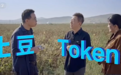 让Token像土豆一样便宜,要闯哪四关?