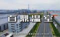 全国食用菌大棚厂家口碑:智能环境控制·专业认证