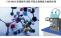 C18AQ柱在强极性多肽样品分离纯化方面的应用