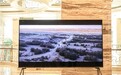 海信电视亮相米拍摄影嘉年华,以RGB三色显示助力专业影像创作