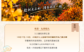 洛阳白云山“重阳节40岁以上游客免门票”?景区回应