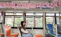 武汉公交“最美樱花主题车厢”浪漫上线,邀您共赴一场“画”中之旅