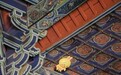 游客在大同华严寺参观时莫名感觉“被盯上”,抬头一看竟是一只“乌萨奇”