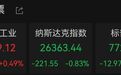 美股两大存储巨头,大跌
