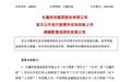 长江存储长鑫科技会师科创板,近千亿募资将如何改写全球存储格局