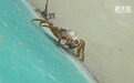 江苏淮安:“电暖流”护航洪泽湖大闸蟹抢“鲜”上市