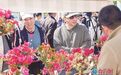 厦门今年将新建改造城市园林绿地100公顷 打造13公里为民办实事绿道