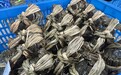 为什么每年蟹季都传大闸蟹“崩盘”?蟹老板讲透行业阵痛