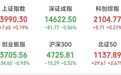 4连板后,高位人气股,盘中大幅波动