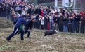 多彩活动喜迎新春#(4)