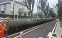 武汉站周边道路绿化更新,绘就区域浪漫风景
