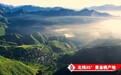 从果汁到喜宴标配:“桃花开”获中经视野“喜宴果汁全国销量第一”声明