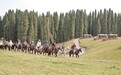 从“看风景”到“读文化”——透过新疆看“访古游”升温
